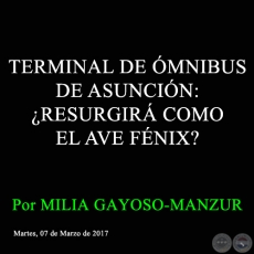 TERMINAL DE MNIBUS DE ASUNCIN: RESURGIR COMO EL AVE FNIX? - Por MILIA GAYOSO-MANZUR - Martes, 07 de Marzo de 2017